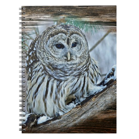 Owl Notitieboek (Voorkant)