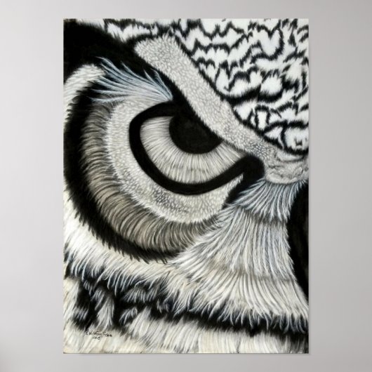 Owl oog (links) poster (Voorkant)