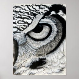 Owl oog (rechts) poster