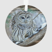 Owl Ornament (achterkant)