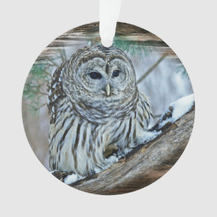 Owl Ornament