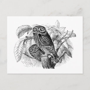 Owl Ownership voor hout Briefkaart