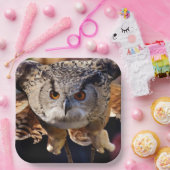 Owl Papieren Bordje (Feest)