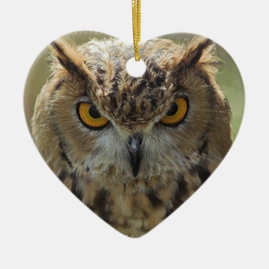 Owl Photo Ornament (Voorkant)