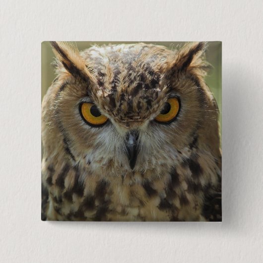 Owl Photo Square Pin Vierkante Button 5,1 Cm (Voorkant)