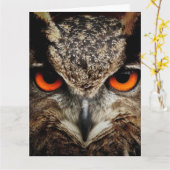 OWL Photographie Carte d'anniversaire surdimension (Fleur jaune)