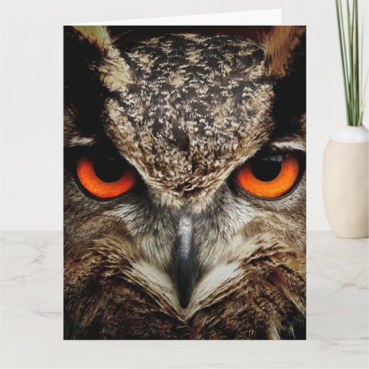OWL Photographie Carte d'anniversaire surdimension (Devant)