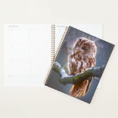 Owl Planner (Display)