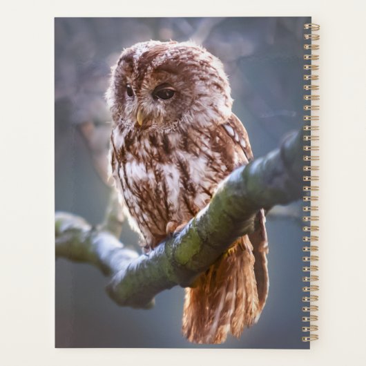 Owl Planner (Achterkant)