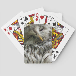 OWL POKERKAARTEN