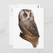 Owl Portret Briefkaarten (Voorkant / Achterkant)