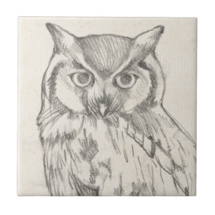 Owl Portret - Schets Tegeltje