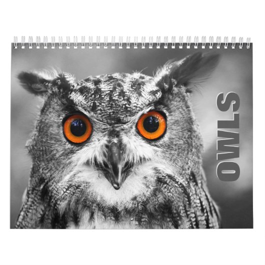 Owl Portret Wall Agenda Kalender (Hoes)