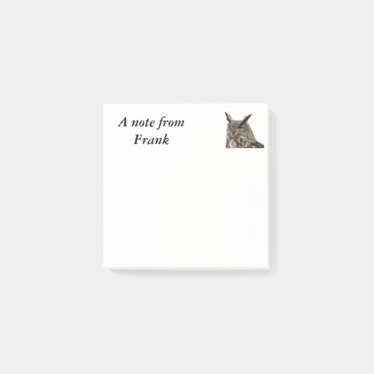 Owl Post-it® Notes (Voorkant)