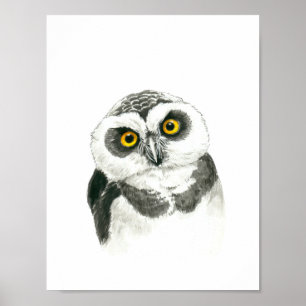 Owl Poster
