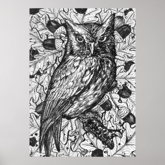 Owl Poster (Voorkant)
