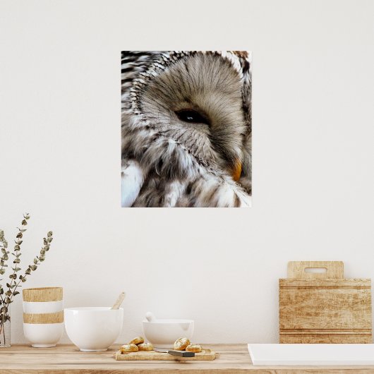 OWL POSTER (Keuken)