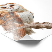 Owl Premium Satin Photo Paper Photo Enlargement (Coin)