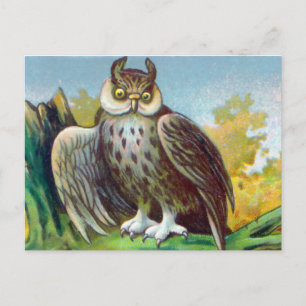 Owl Print Briefkaart