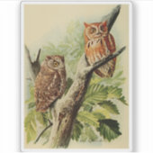 Owl Print Sticker (Voorkant)