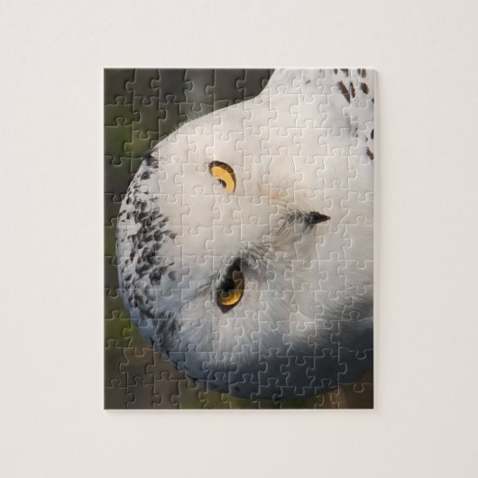 Owl Puzzle (Vertical)