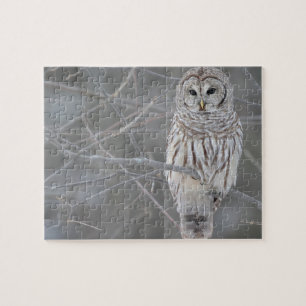Owl Puzzle Legpuzzel