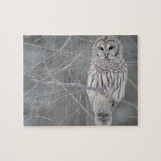Owl Puzzle Legpuzzel (Horizontaal)