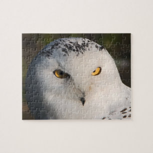 Owl Puzzle Legpuzzel