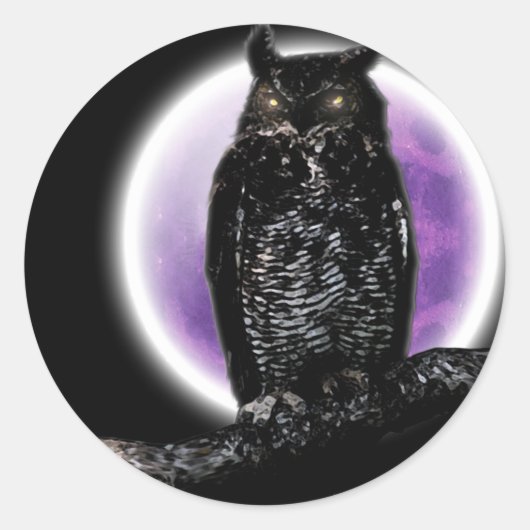 Owl Ronde Sticker (Voorkant)