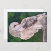 Owl schilderen op briefkaart (Voorkant / Achterkant)