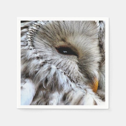 OWL SERVETTEN (Voorkant)