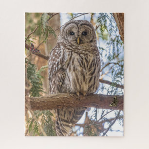 Owl Sitting in de Natuur van de Boom Puzzle Legpuzzel