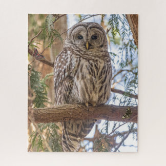 Owl Sitting in de Natuur van de Boom Puzzle Legpuzzel