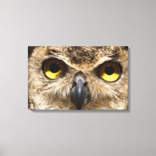 Owl Sluiten Canvas Afdruk
