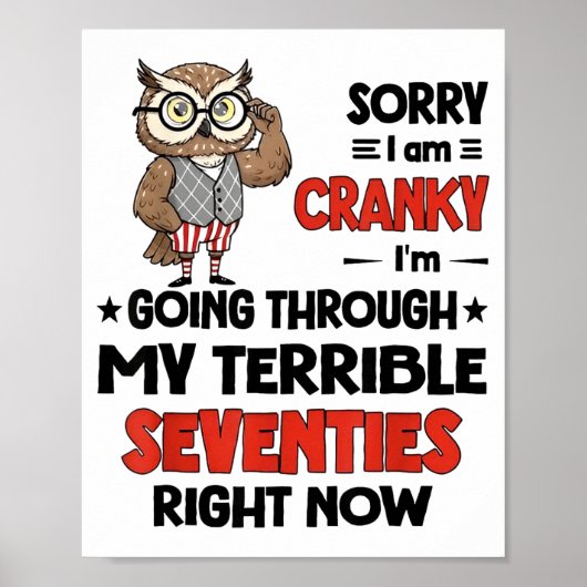 Owl Sorry I'm Cranky I'm Going Through My Terrible Poster (Voorkant)