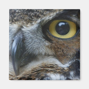 Owl Square Magnet Magneet