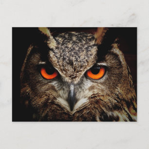 OWL-stallen Briefkaart