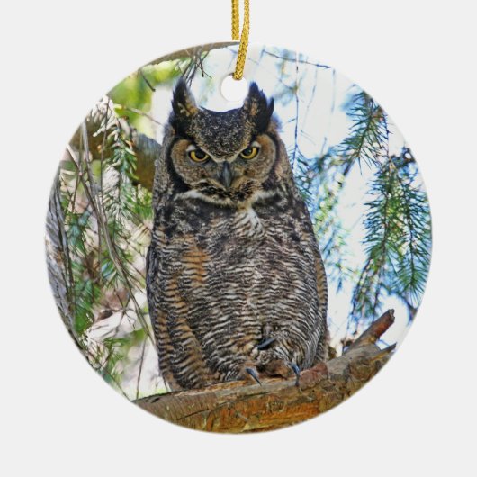 Owl Stare Keramisch Ornament (Voorkant)