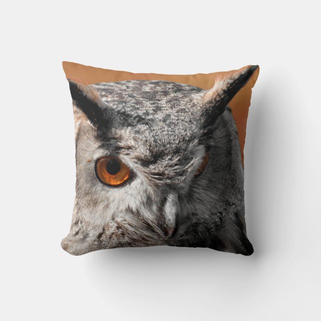 Owl Stare Kussen (Voorkant)
