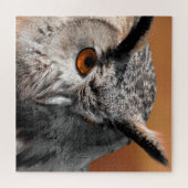 Owl Stare Legpuzzel (Horizontaal)