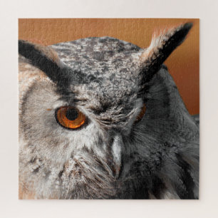 Owl Stare Legpuzzel