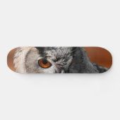Owl Stare Skateboard (Horizontaal)