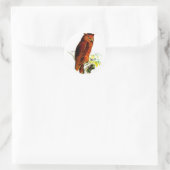 Owl Stickers (Tas)