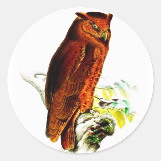 Owl Stickers (Voorkant)