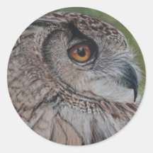 Owl stickers
