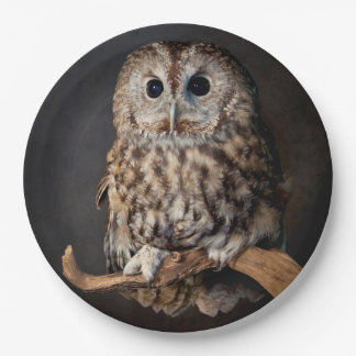 Owl Symbol van wijsheid Papieren Bordje