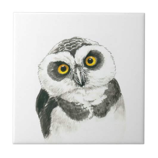 Owl Tegeltje (Voorkant)