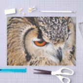 OWL TISSUEPAPIER (Craft)