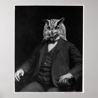 Owl-uitvinder Poster