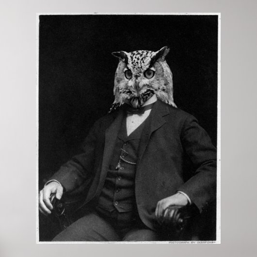 Owl-uitvinder Poster (Voorkant)